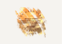 Van Hand Sens - Massage sportif