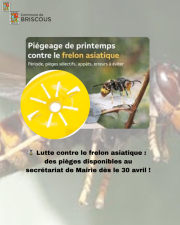 Affiche piégeage frelon asiatique